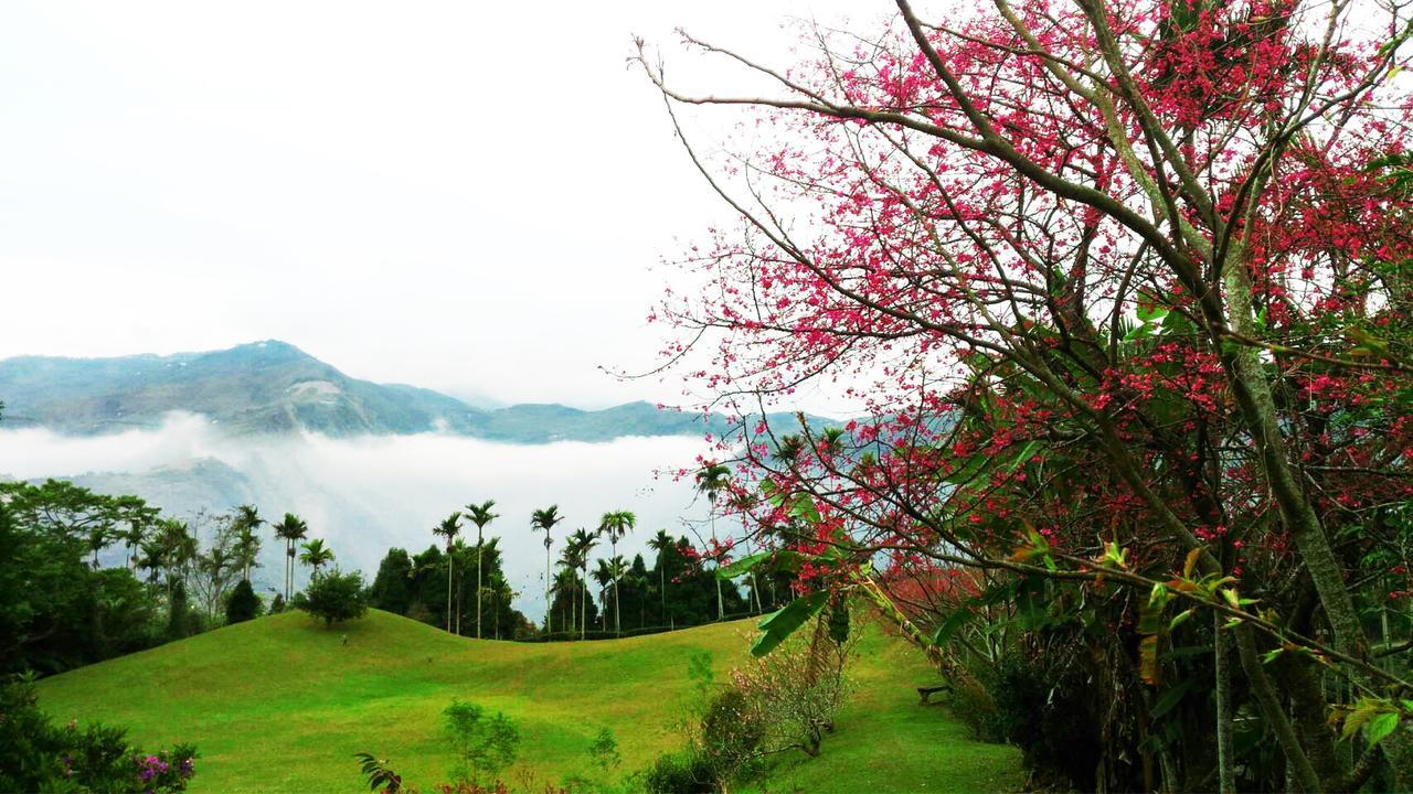 Villa Foggy Wonderland Zhushan Exterior foto